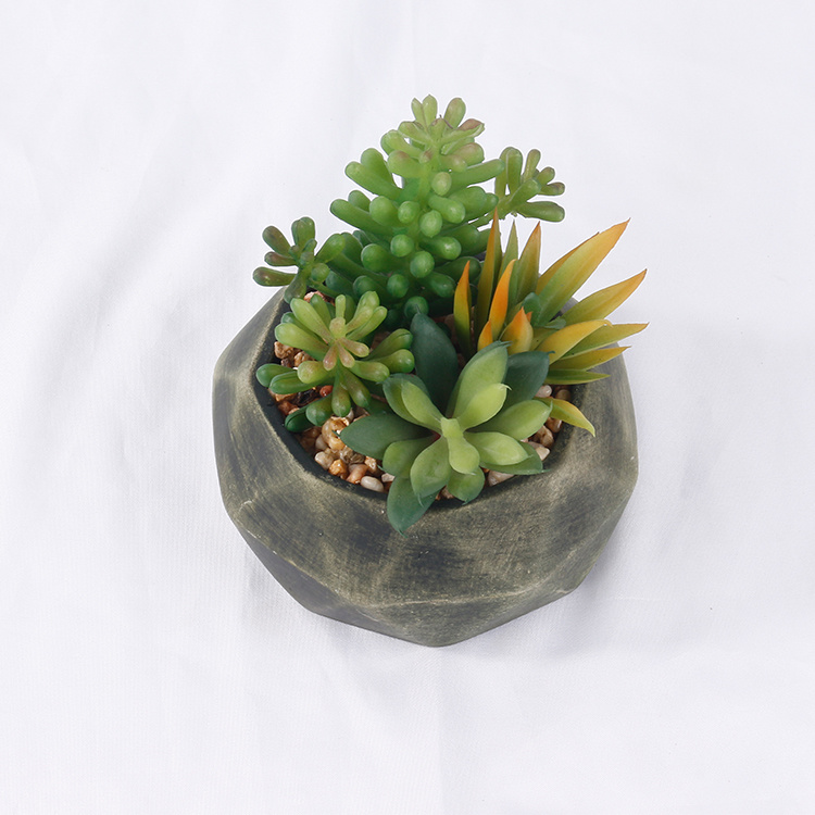 Potted-Succulent-Arrangement-Plants-Artificial-Succulents-Home-Decoration (1).jpg